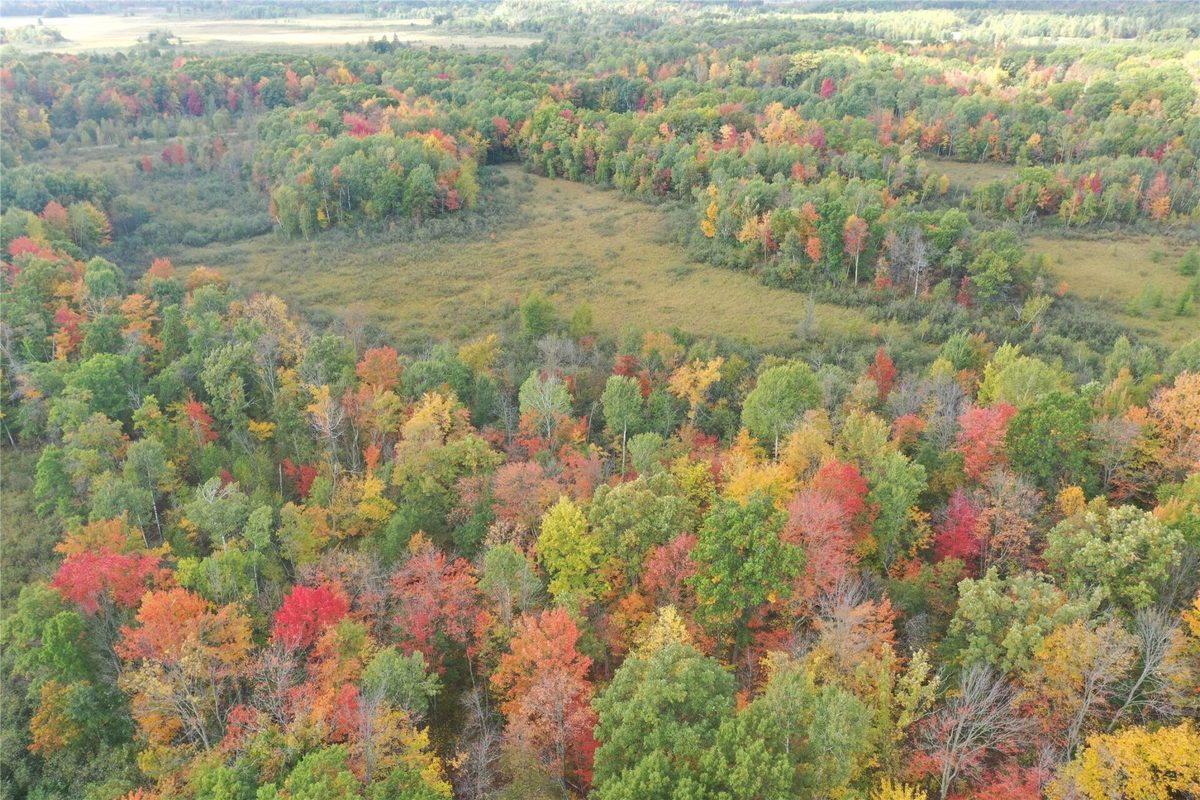 0 Klarquist Road, Webster WI 54840 - Land house for sale - MLS #1605651 - image16
