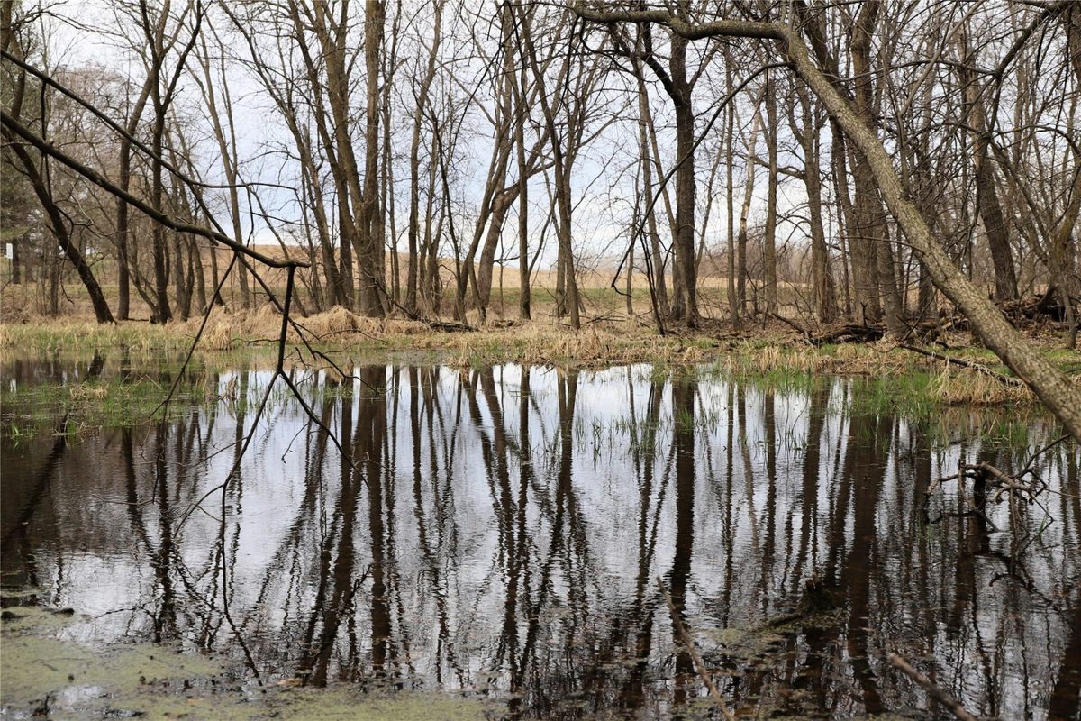 0000 Fourth Street E, Other, MN — photo 15
