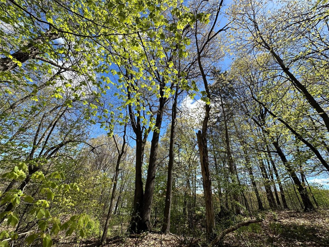 1438 Pleasant Hill Road, Eau Claire WI 54703 - Land house for sale - MLS #1602766 - image38