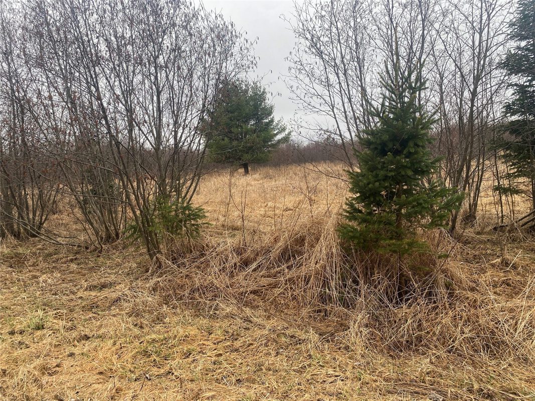 ON Shauger Road Ogema WI 54459 — photo 3