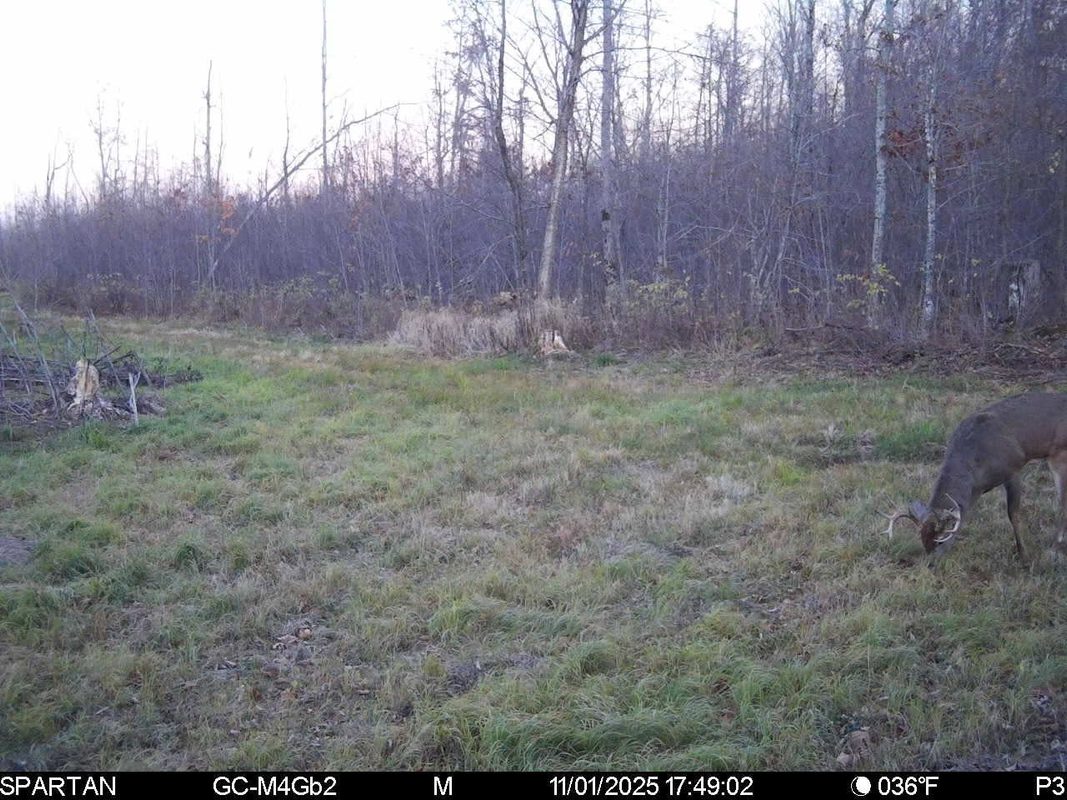 On County Road H, Radisson WI 54867 - Land house for sale - MLS #1603350 - image29