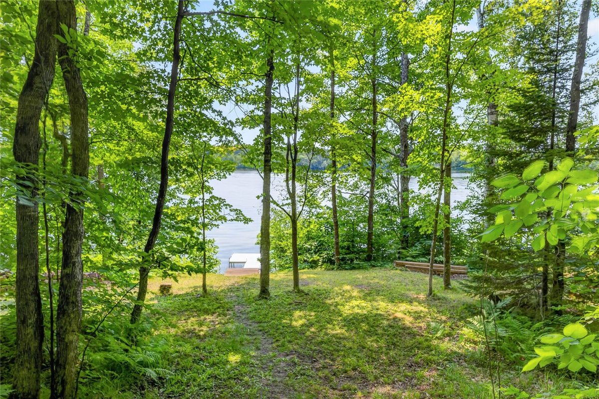 6925W Hemlock Haven Road, Winter WI 54896 - Land house for sale - MLS #1603697 - image2