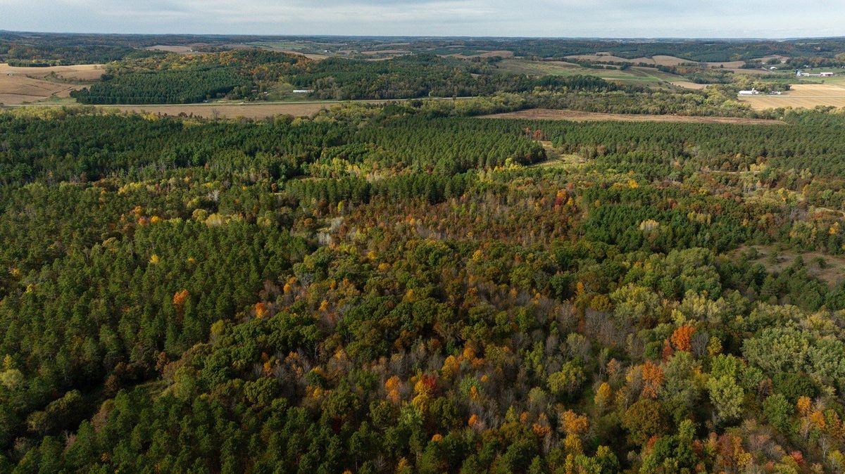 0 Prairie Road, Osseo WI 54758 - Land house for sale - MLS #1605860 - image38