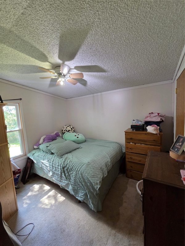 E9745 10th Avenue, Mondovi WI 54755 - Residential house for sale - MLS #1604973 - image9