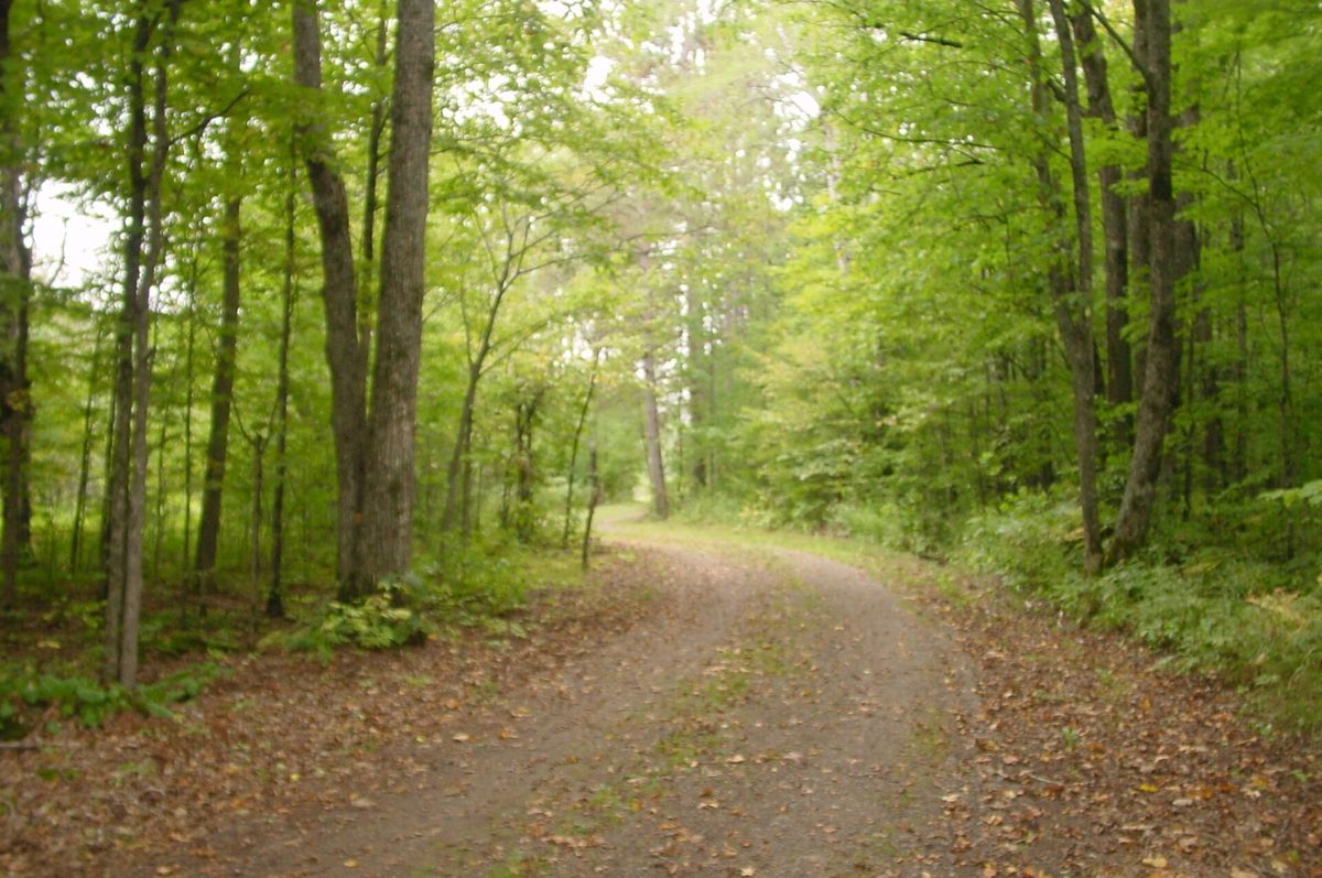 N5391 Hwy. 73, Ingram WI 54526 - Residential house for sale - MLS #1604886 - image56