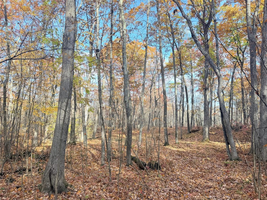 0 County Highway C, Rice Lake WI 54868 - Land house for sale - MLS #1605929 - image12