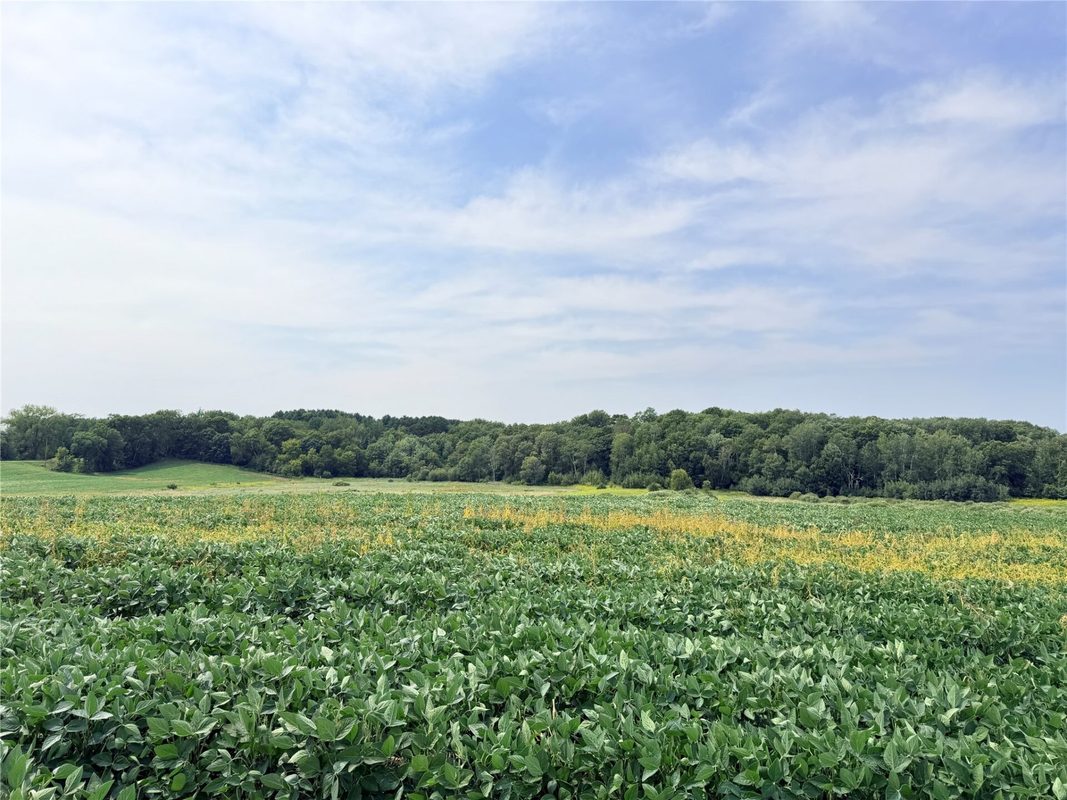 10 Acres Lot 4 230th Street, St Croix Falls WI 54024 - Land house for sale - MLS #1606210 - image8