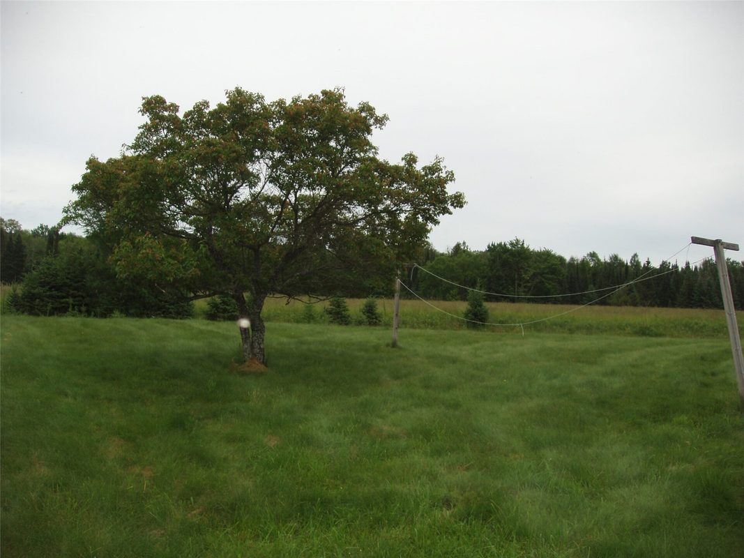 N16798 Bass Lake Road, Butternut WI 54514 - Residential house for sale - MLS #1603059 - image35