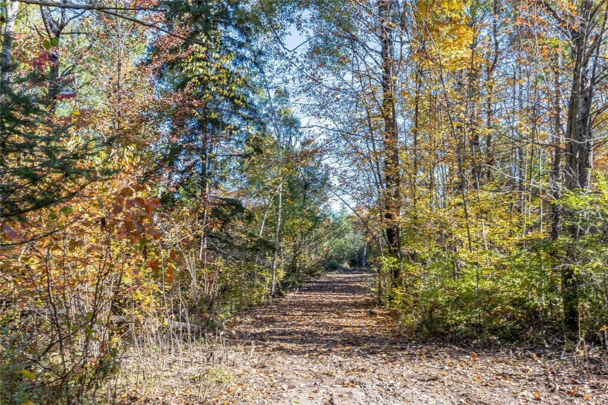 5 Acres Aggie Lane, Ladysmith WI 54848 - Land house for sale - MLS #1605699 - image3
