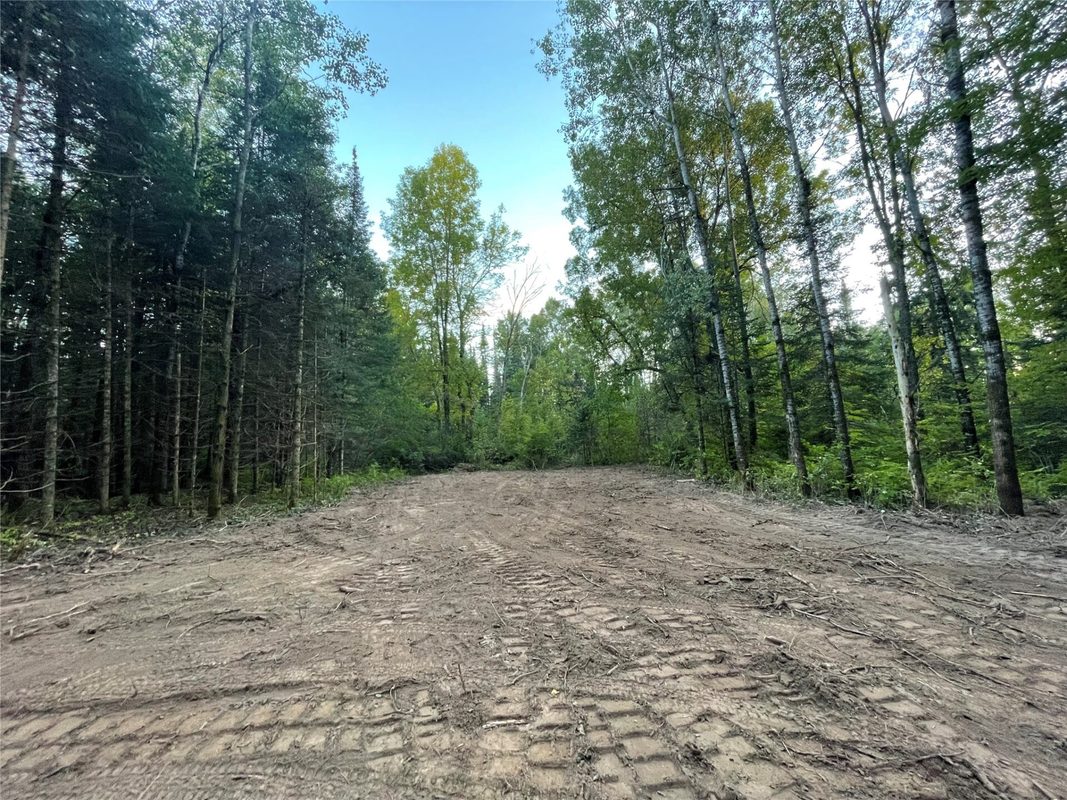Lot 3 Fadness Road, Winter WI 54896 - Land house for sale - MLS #1605263 - image7