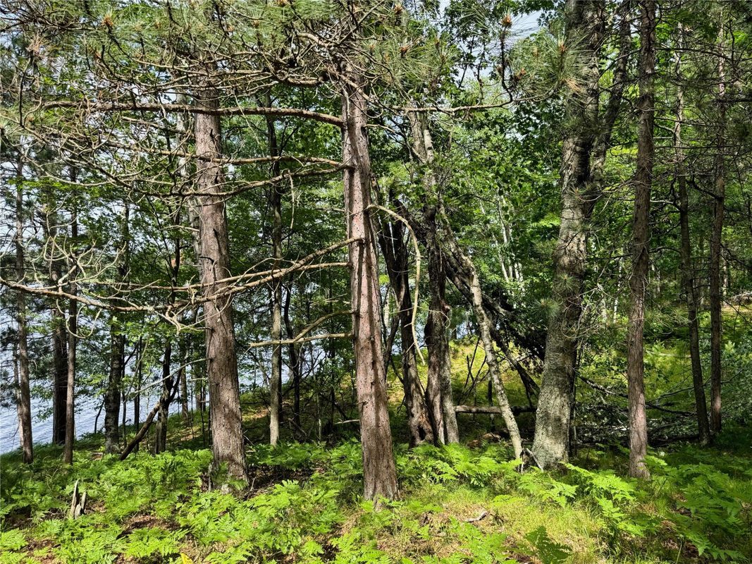 11149 Merganser Lane, Hayward WI 54843 - Land house for sale - MLS #1604672 - image22