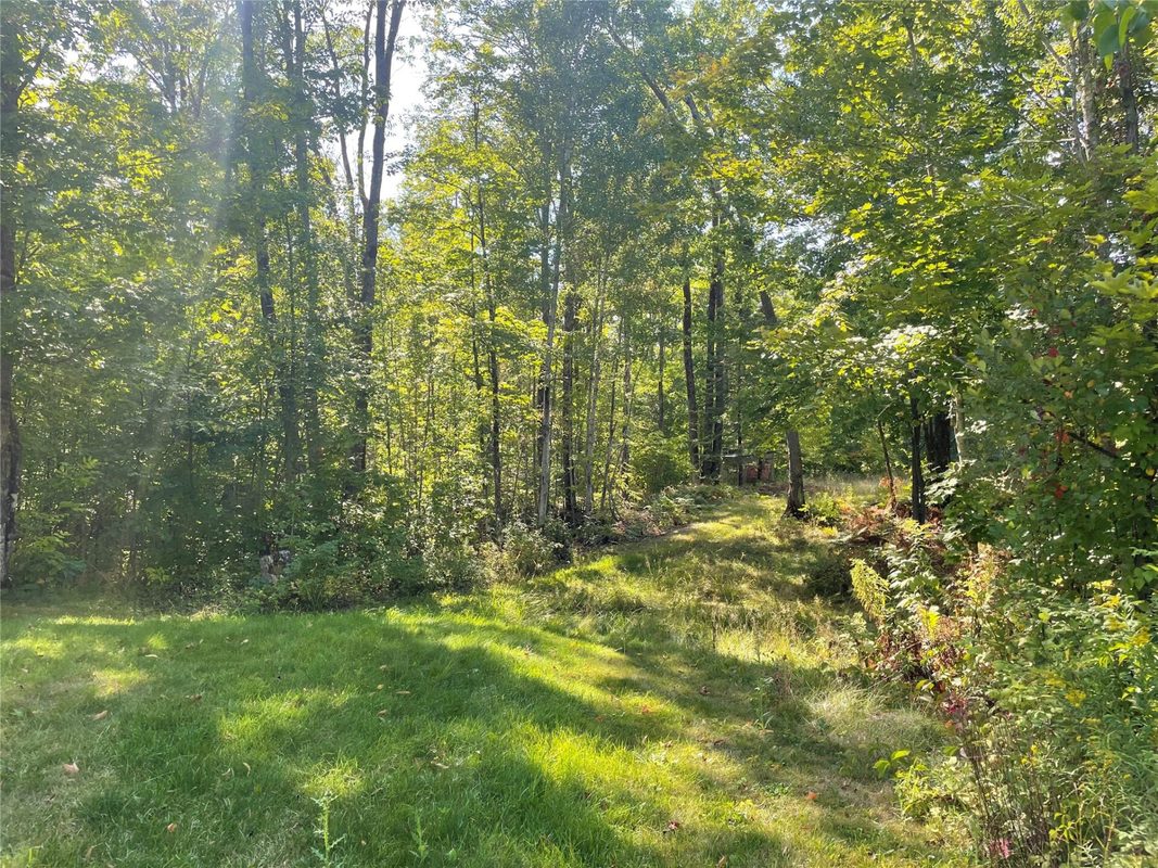7154 McDermott Road, Winter WI 54896 - Residential house for sale - MLS #1604729 - image29