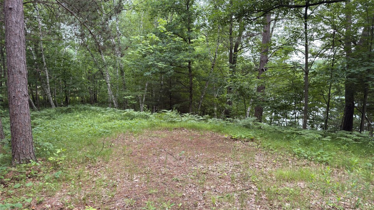 765 270th Ave Cty Rd O, Frederic WI 54837 - Land house for sale - MLS #1602300 - image13