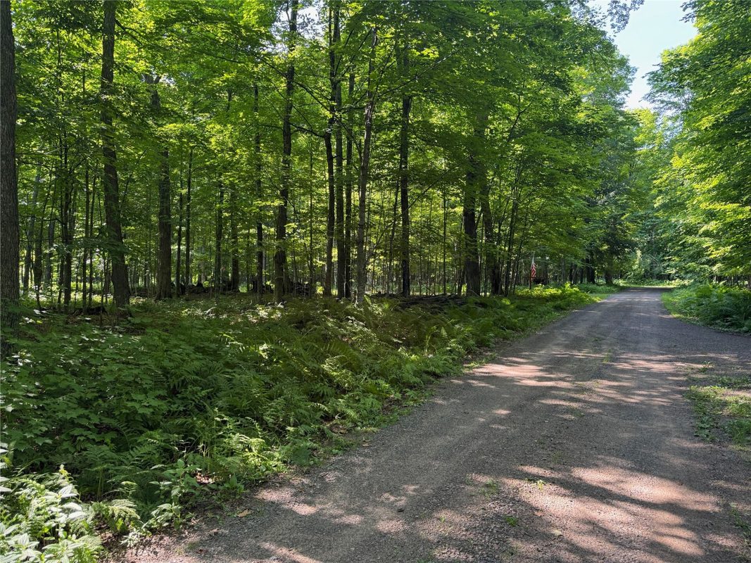 Lot 8 Crane Lane, Hayward WI 54843 - Land house for sale - MLS #1603375 - image13