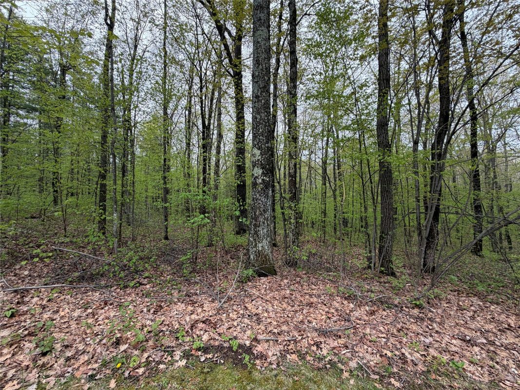 N 5543 County Hwy BB, Stone Lake WI 54876 - Residential house for sale - MLS #1601238 - image13