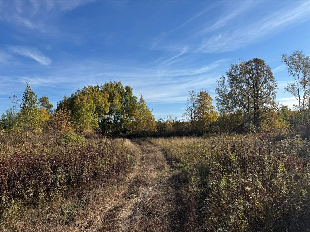 W11199 Edgewood Avenue, Bruce WI 54848 - Land house for sale - MLS #1605749 - image4