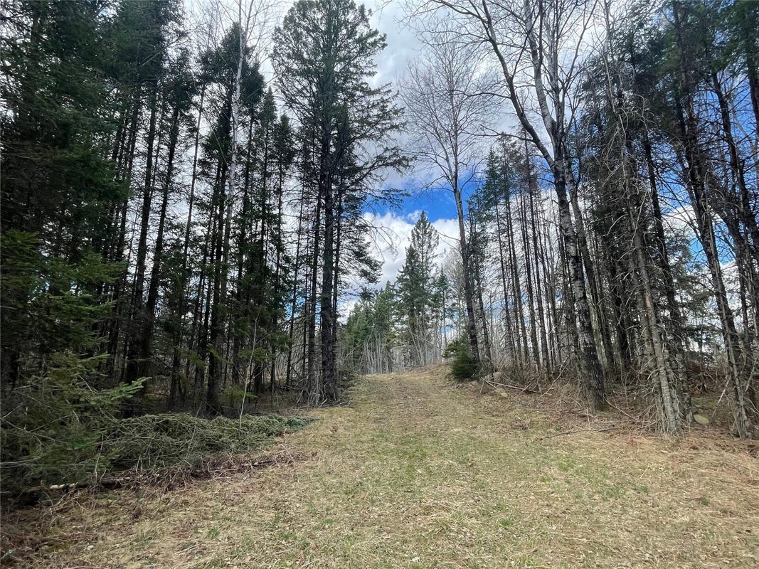 81620 Pociask Road, Butternut WI 54514 - Land house for sale - MLS #1601089 - image4