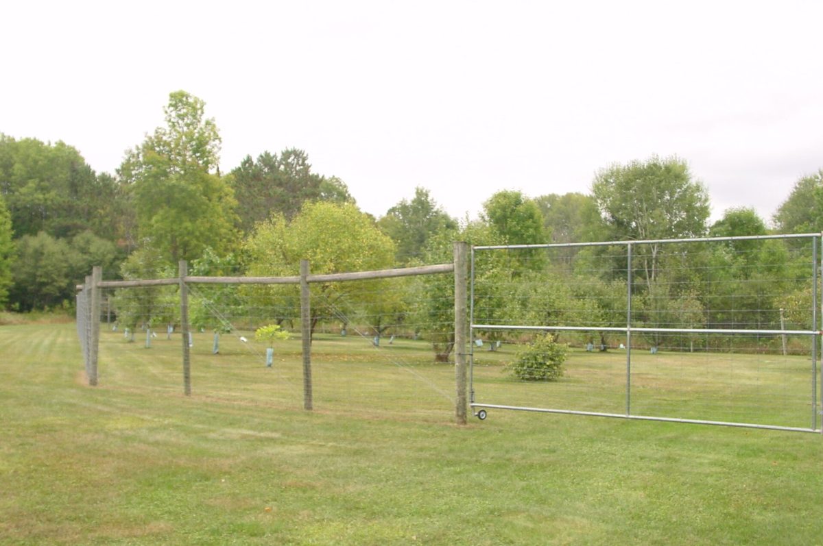 N5391 Hwy. 73, Ingram WI 54526 - Residential house for sale - MLS #1604886 - image52
