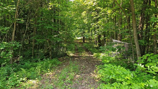 4687 Valesh Road, Couderay WI 54828 - Land house for sale - MLS #1602810 - image1