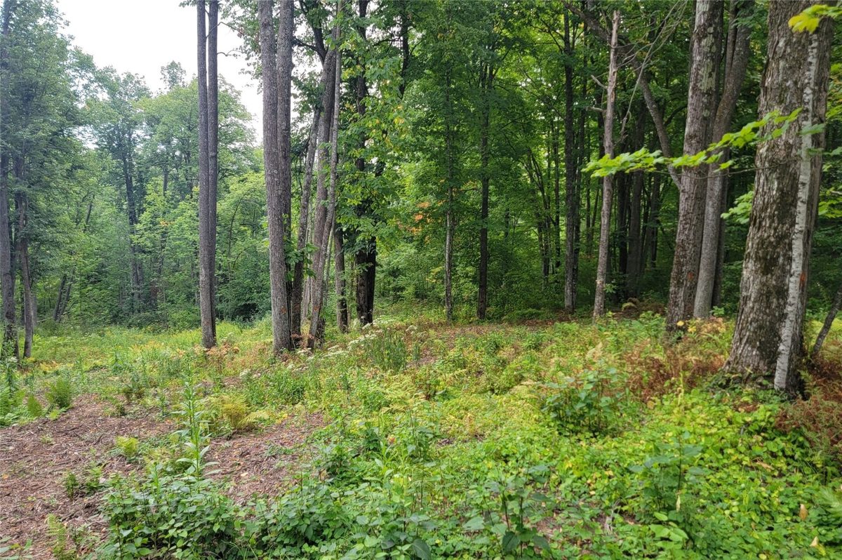 5522N County Highway G, Winter WI 54896 - Land house for sale - MLS #1605127 - image10