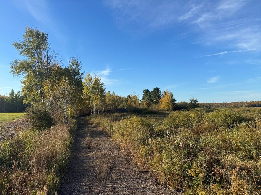 W11199 Edgewood Avenue, Bruce WI 54848 - Land house for sale - MLS #1605749 - image2
