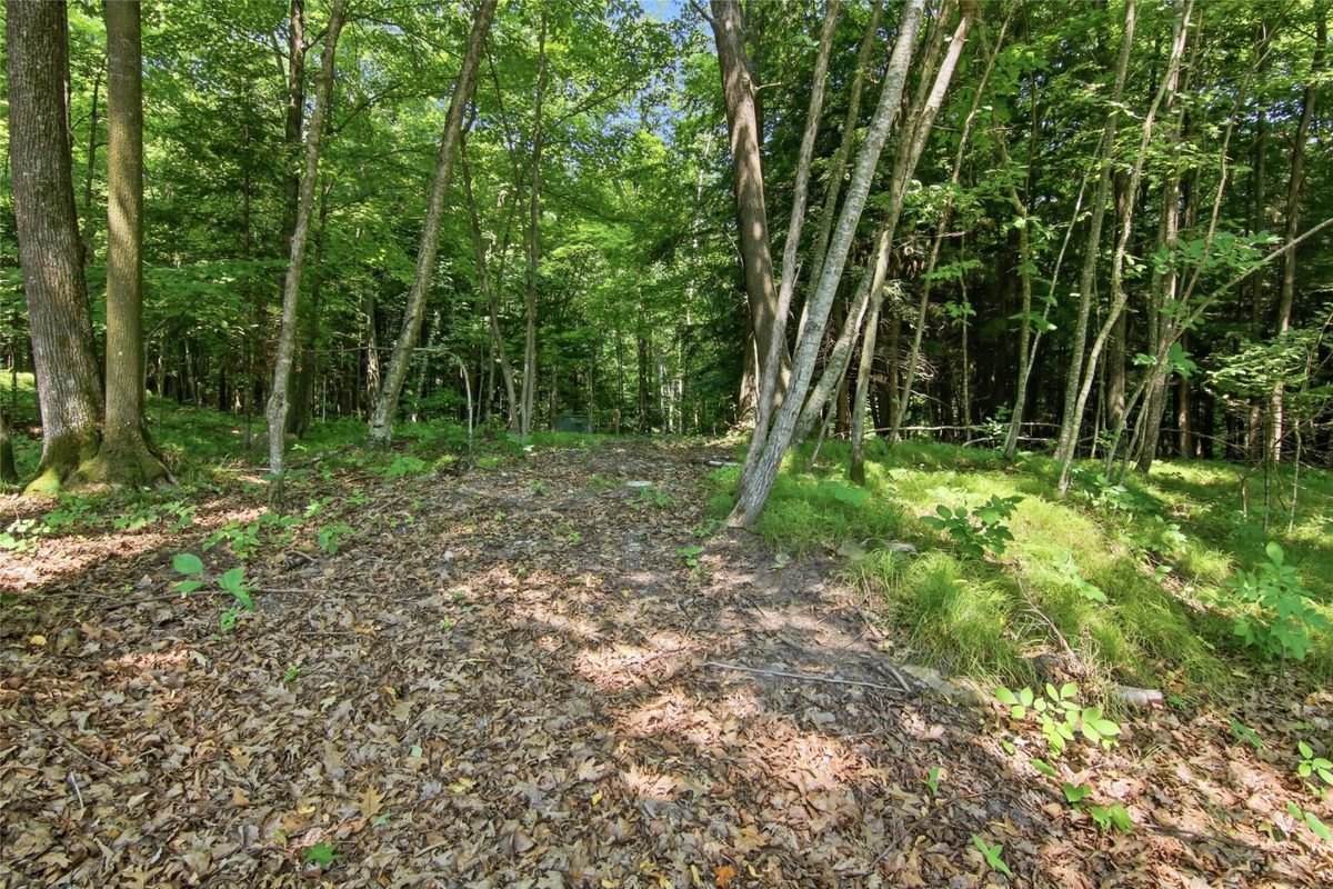 36299 145th Avenue, Stanley WI 54768 - Residential house for sale - MLS #1603629 - image58