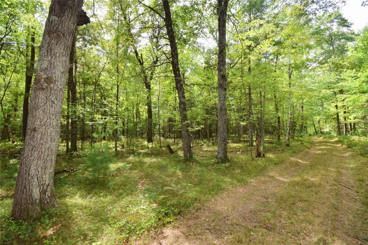 28206 Pardun Road, Danbury WI 54830 - Land house for sale - MLS #1604938 - image40