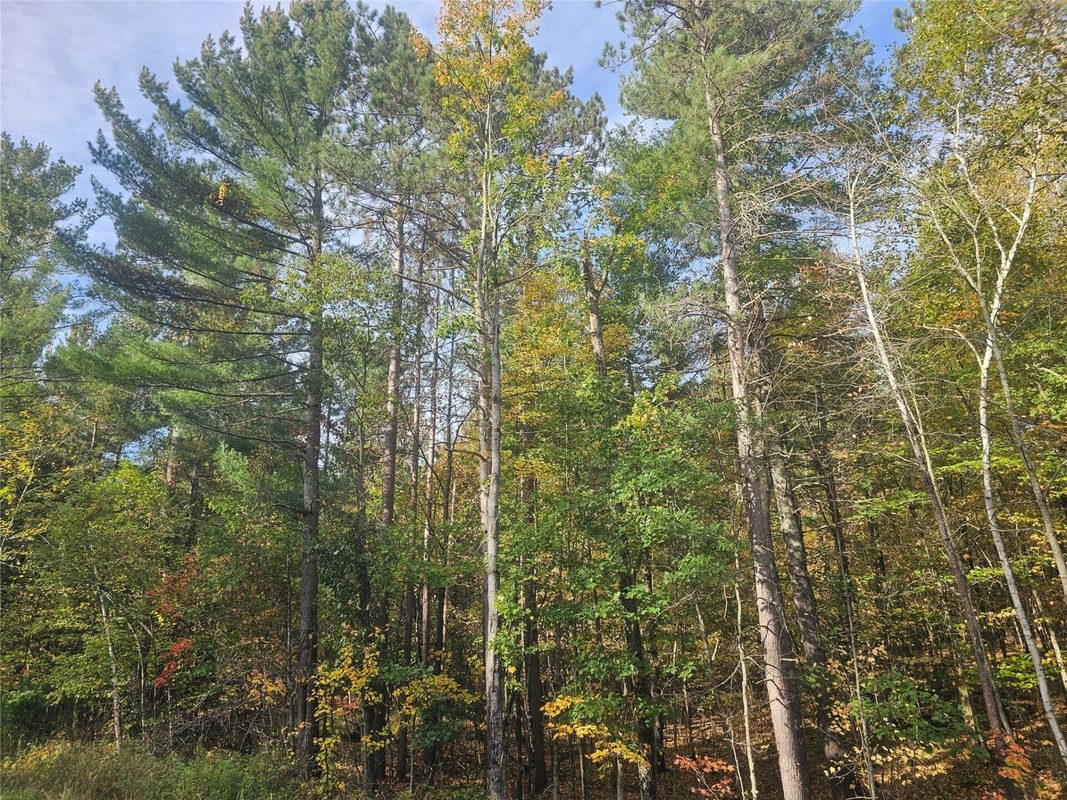 xxx County Road H Road Danbury WI 54830 — photo 3
