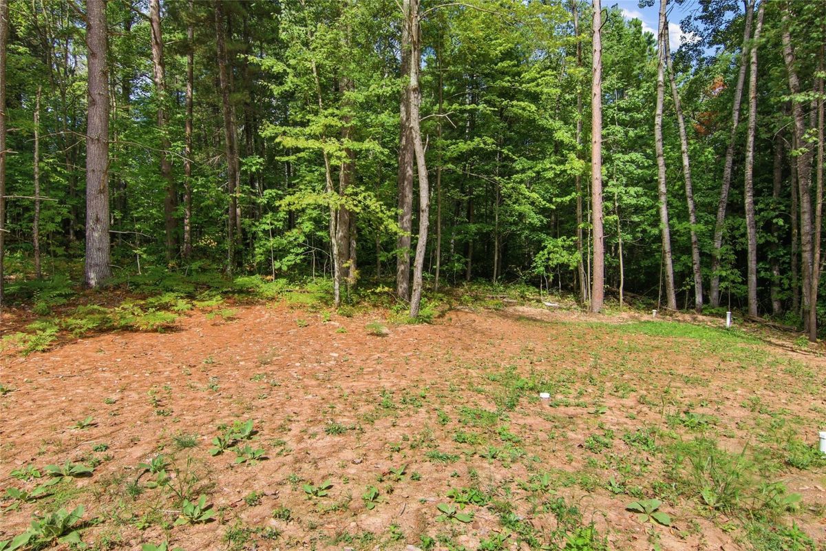 12120W Twin Lake Road, Hayward WI 54843 - Residential house for sale - MLS #1604865 - image28