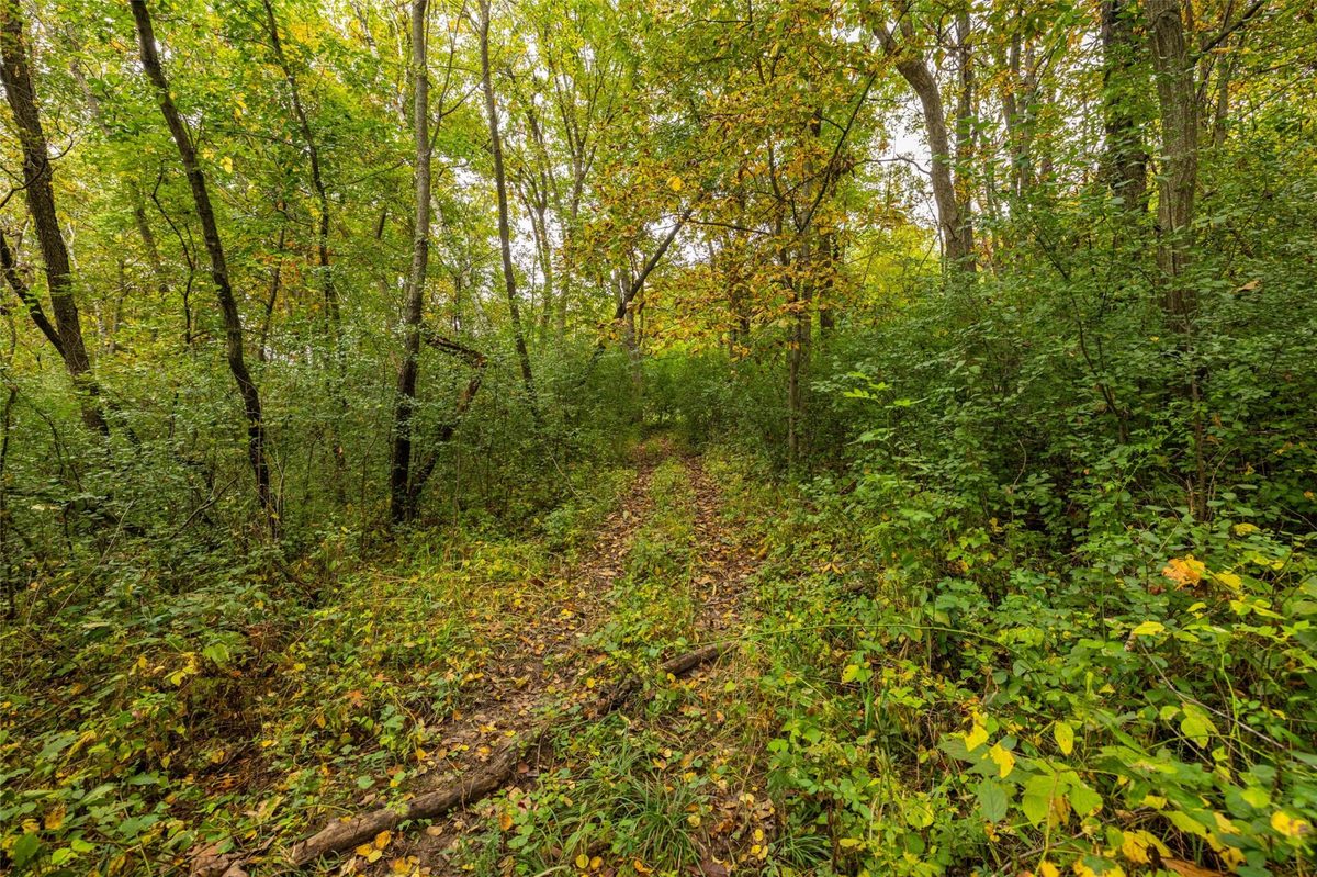 24657 Norway Valley Road  Arcadia WI 54612 - image10