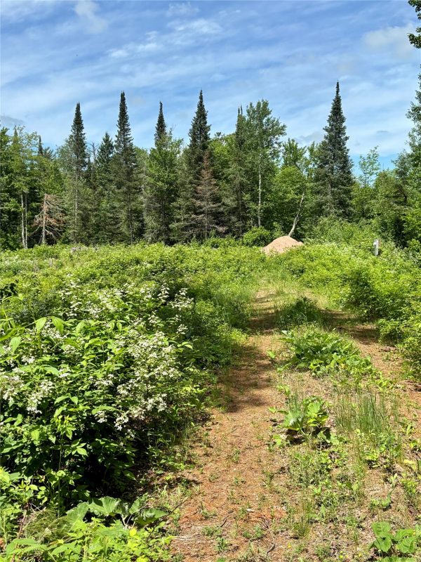 16550 Ridgerock Road, Hayward WI 54843 - Land house for sale - MLS #1591202 - image4