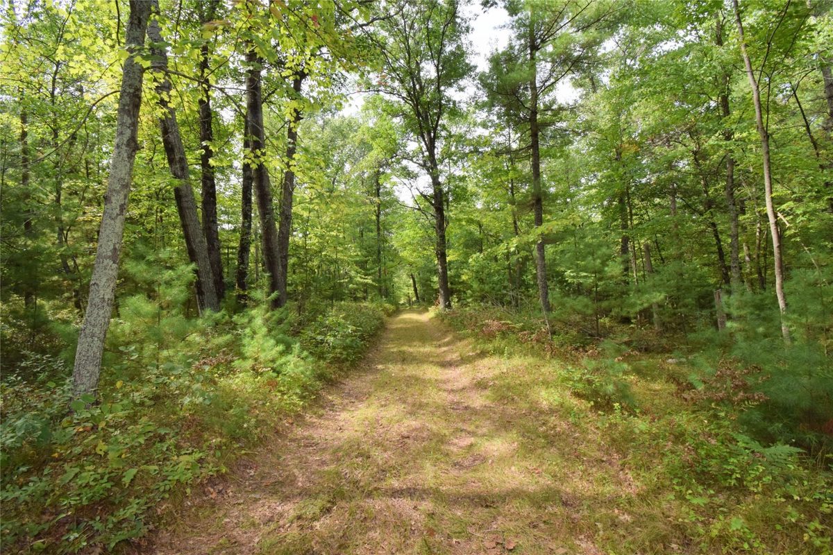 28206 Pardun Road, Danbury WI 54830 - Land house for sale - MLS #1604938 - image28