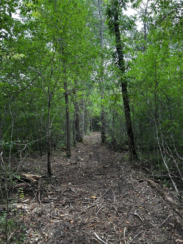 Lots 5 & 6 State Highway 70, Spooner WI 54801 - Land house for sale - MLS #1604806 - image37