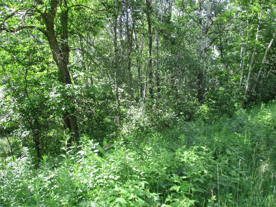 Lots #16 & #17 Eden Avenue, Birchwood WI 54817 - Land house for sale - MLS #1603094 - image4