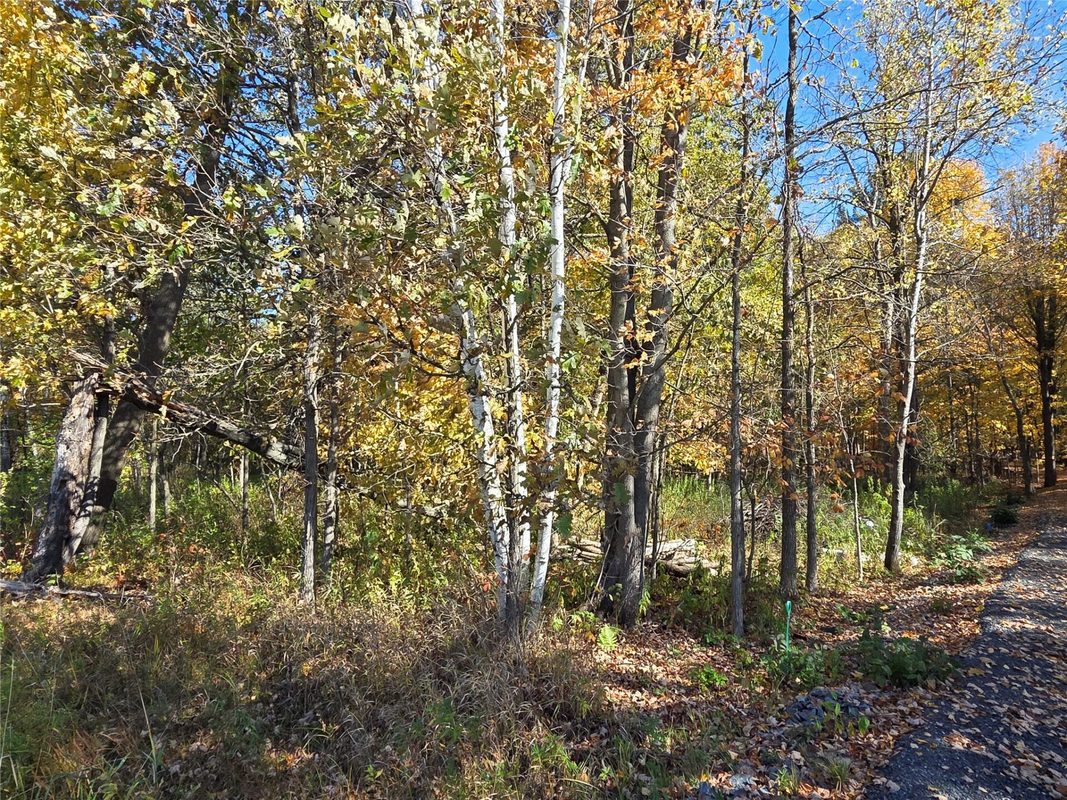 2541 County Hwy D, Boyd WI 54726 - Land house for sale - MLS #1605930 - image3