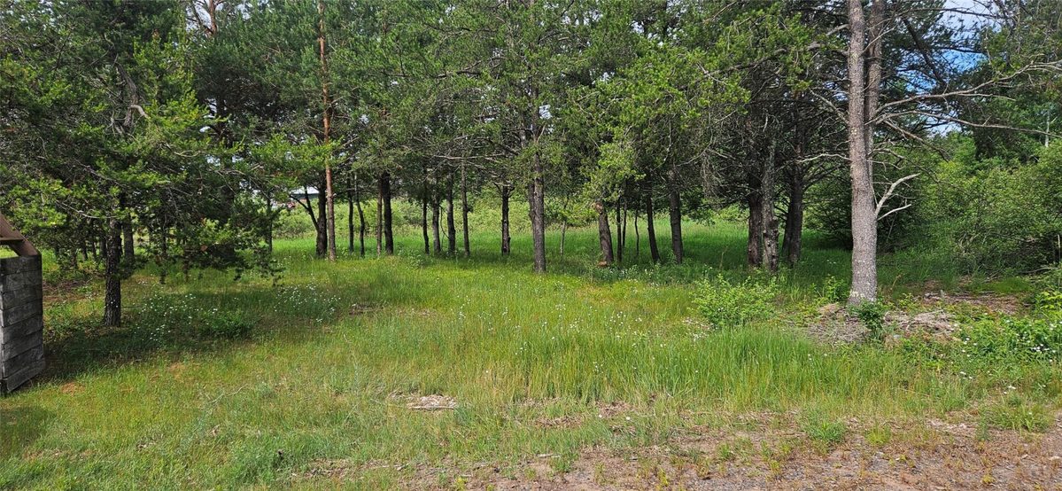 Lot A Windrose Lane, Hayward WI 54843 - Land house for sale - MLS #1602934 - image4