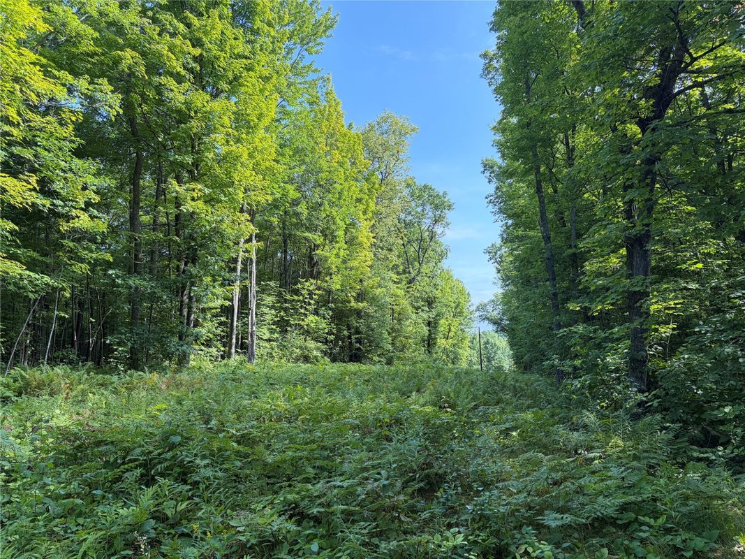 On Strabel Road, Stone Lake WI 54876 - Land house for sale - MLS #1604177 - image23