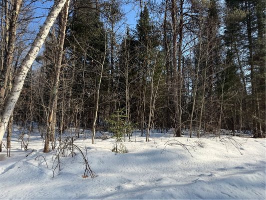 Lot 66 Hickory Court, Cable, WI