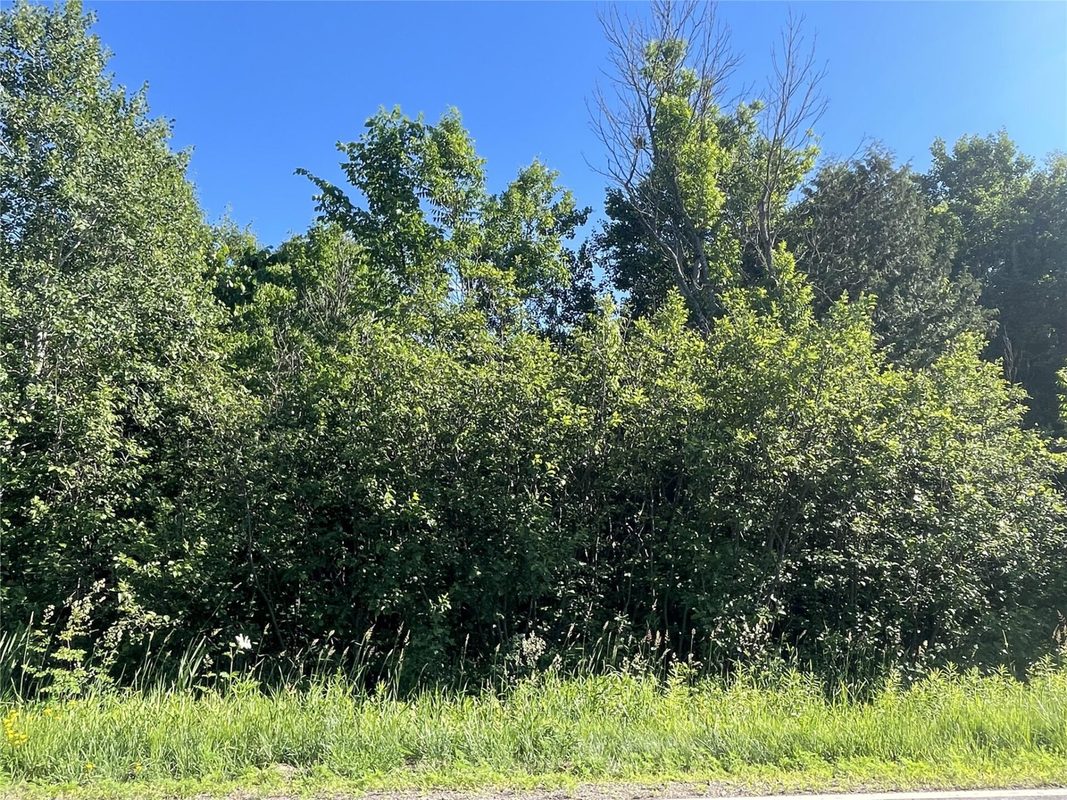 39+/- A on County Highway E, Iron Belt WI 54536 - Land house for sale - MLS #1602959 - image6
