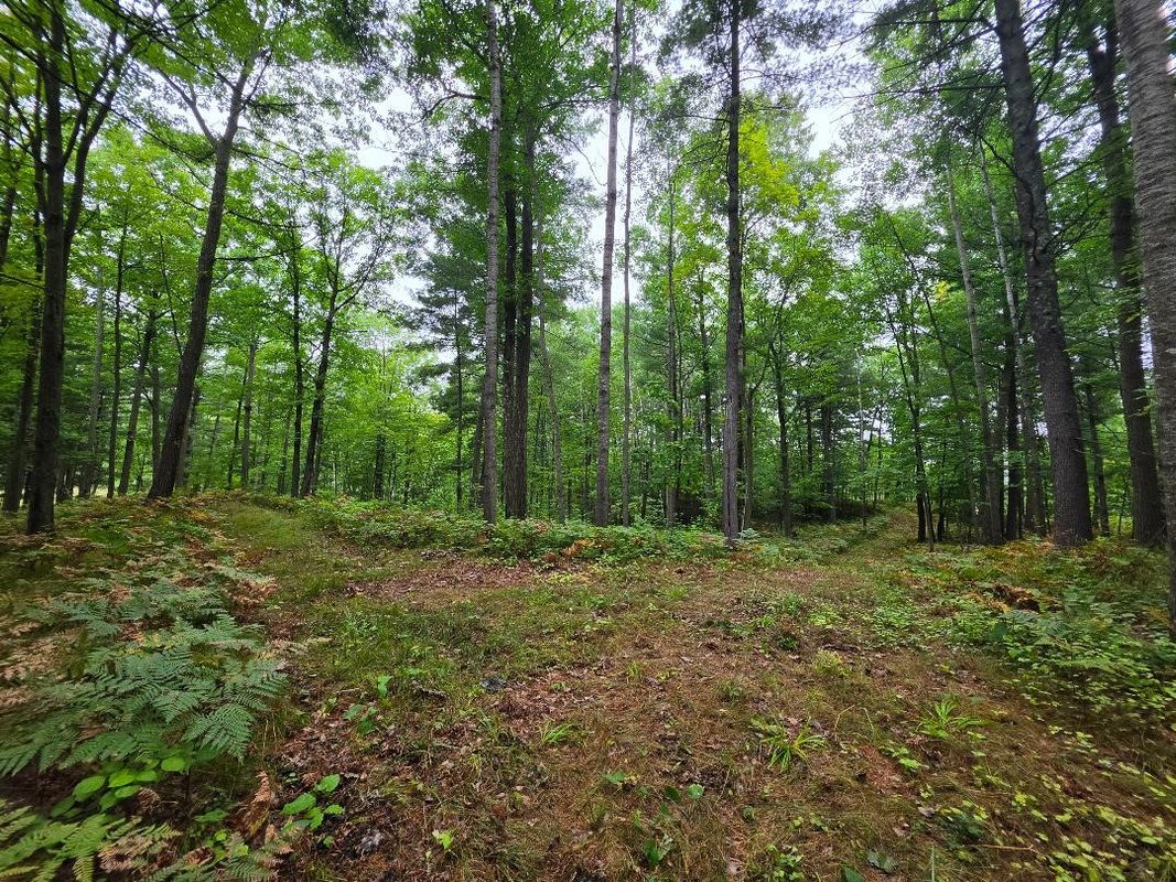 00 10 1/2-28 1/2, Barronett WI 54813 - Land house for sale - MLS #1604830 - image32