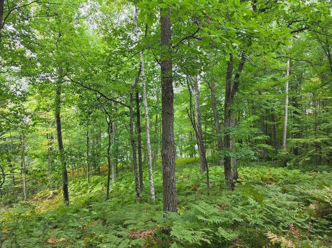 00 10 1/2-28 1/2, Barronett WI 54813 - Land house for sale - MLS #1604830 - image25