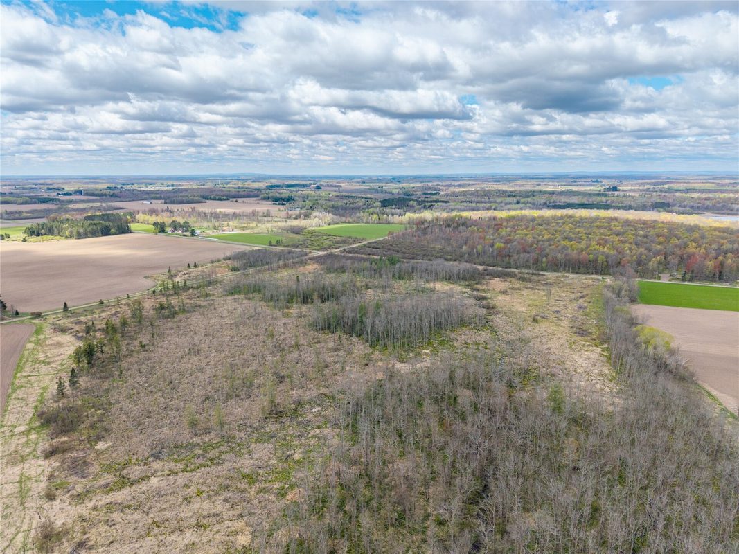 40 Acres Anderson Road & School Road, Glen Flora WI 54526 - Land house for sale - MLS #1601150 - image7