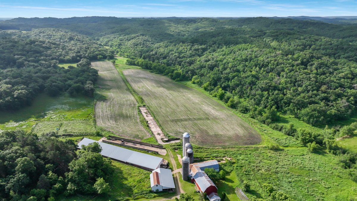 N3684 Claire Road Taylor WI 54659 — photo 48