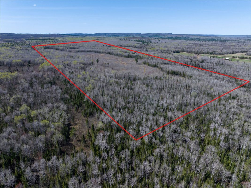 TBD Swedlund Road, Herbster WI 54844 - Land house for sale - MLS #1605965 - image10