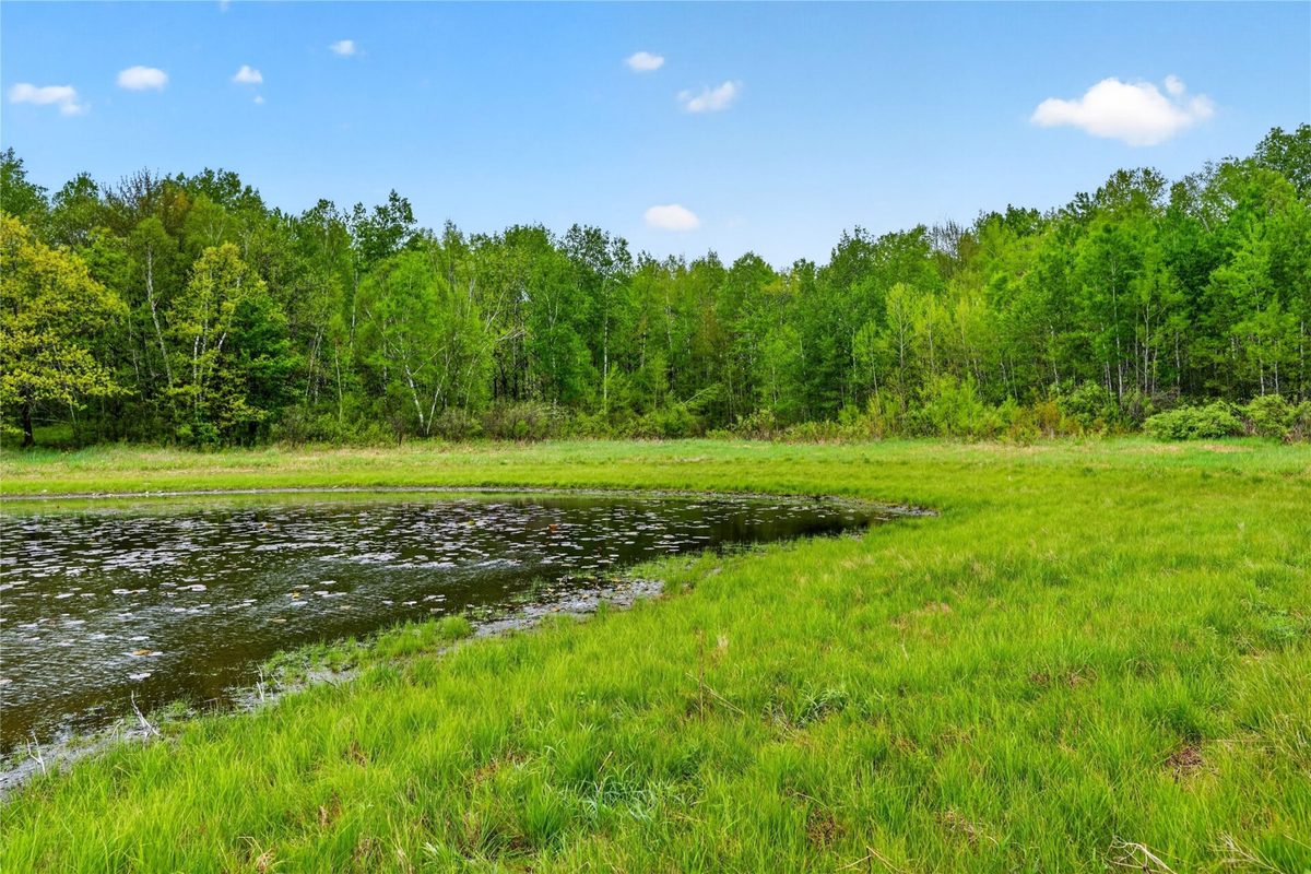 N8771 Fye Road, Trego WI 54888 - Land house for sale - MLS #1603147 - image19