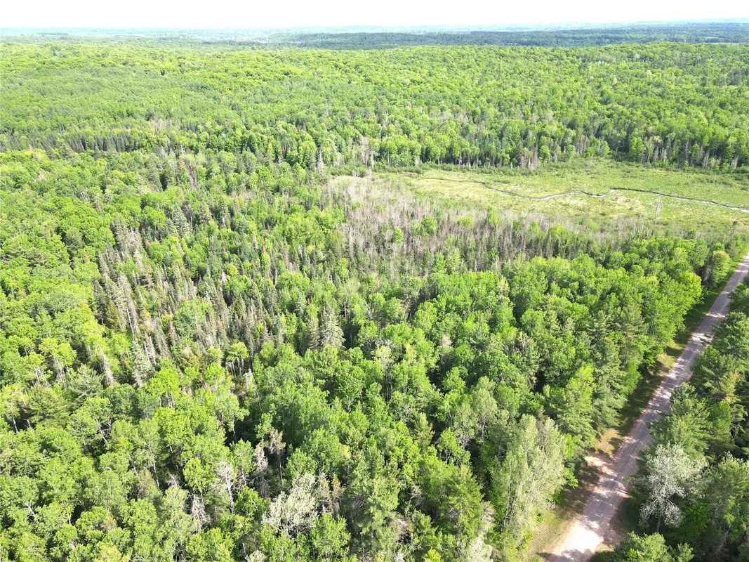 Lot 1 Smith Road, Couderay WI 54828 - Land house for sale - MLS #1601877 - image19