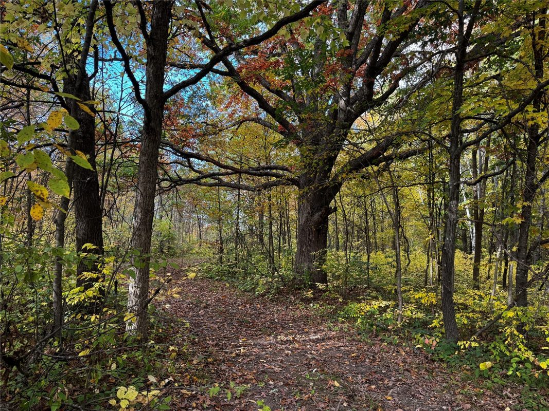 3461 56th, Frederic WI 54837 - Land house for sale - MLS #1605729 - image36