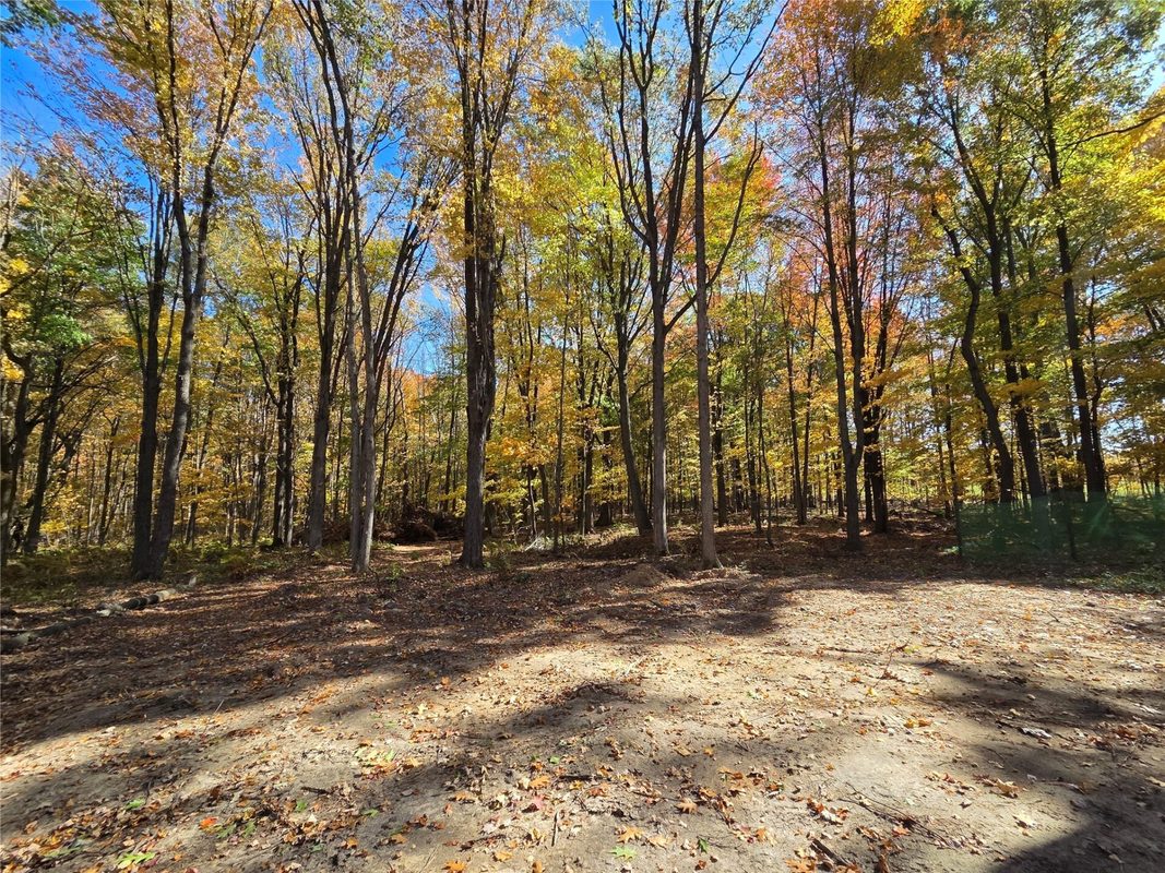 2541 County Hwy D, Boyd WI 54726 - Land house for sale - MLS #1605930 - image10