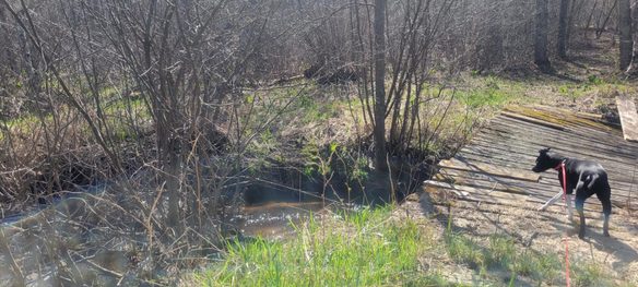 W14103 County P Highway, Taylor WI 54659 - Land house for sale - MLS #1600415 - image1