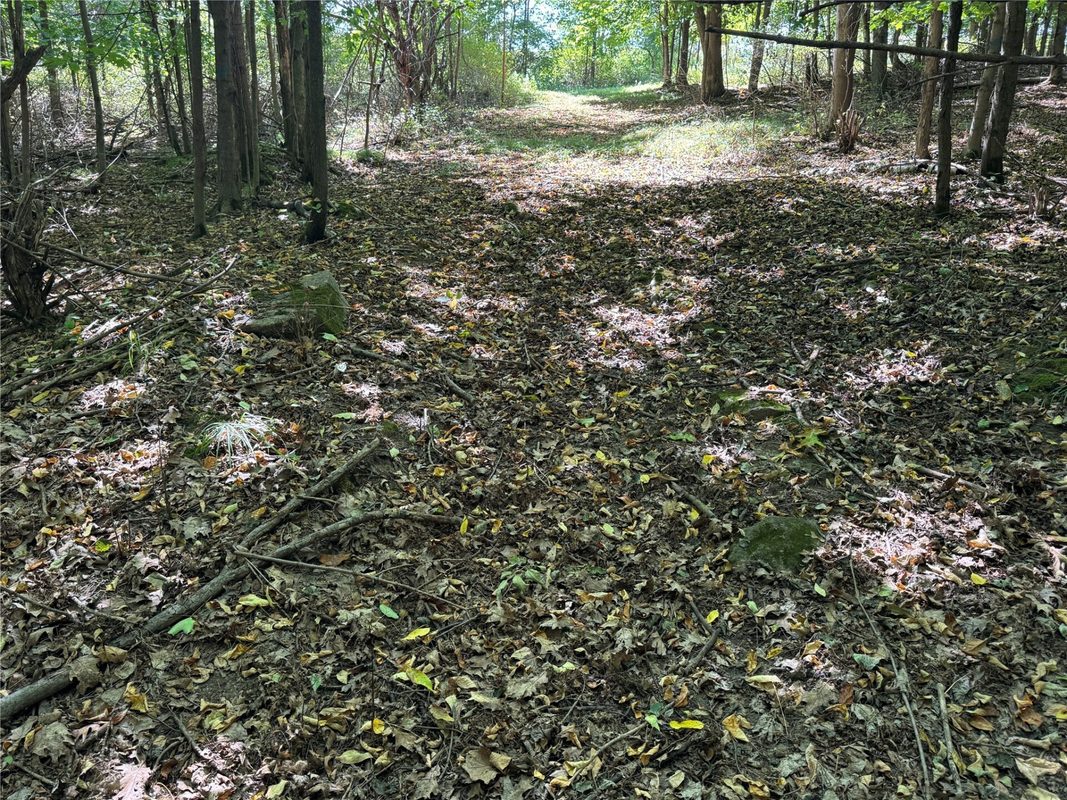 OOO County Road L, Merrill WI 54452 - Land house for sale - MLS #1605059 - image34